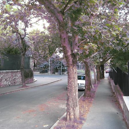 Platan Apartman Budapest Phòng bức ảnh