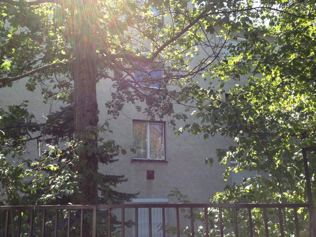 Platan Apartman Budapest Phòng bức ảnh
